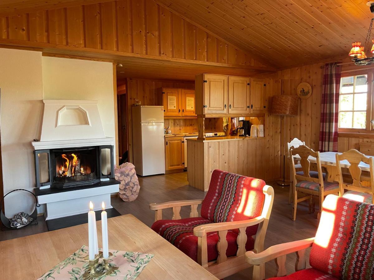 Torsetlia Cottages And Apartments Uvdal Exterior foto